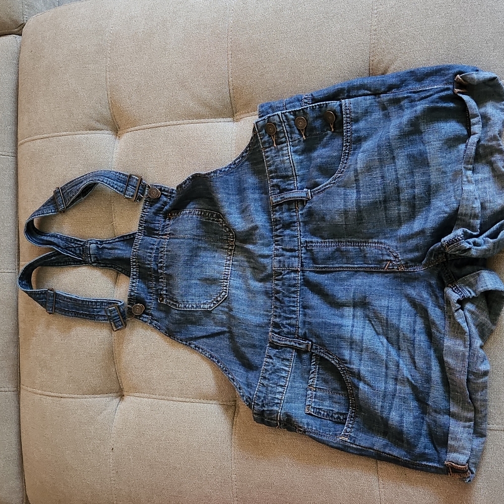 Express overall shorts